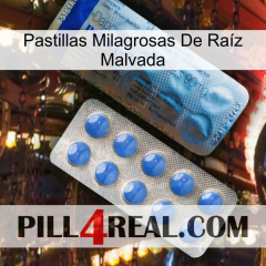 Pastillas Milagrosas De Raíz Malvada 40